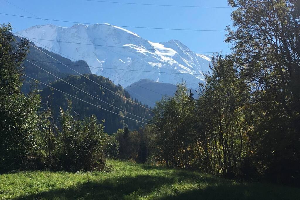 Appartement Lumineux Et Cosy En Rez De Jardin Saint-Gervais-les-Bains Luaran gambar